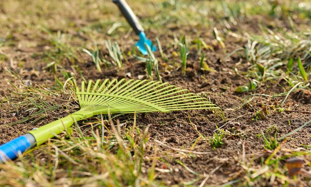 All Seasons Landcare Arlintong TX Flower Bed Clean Ups 1