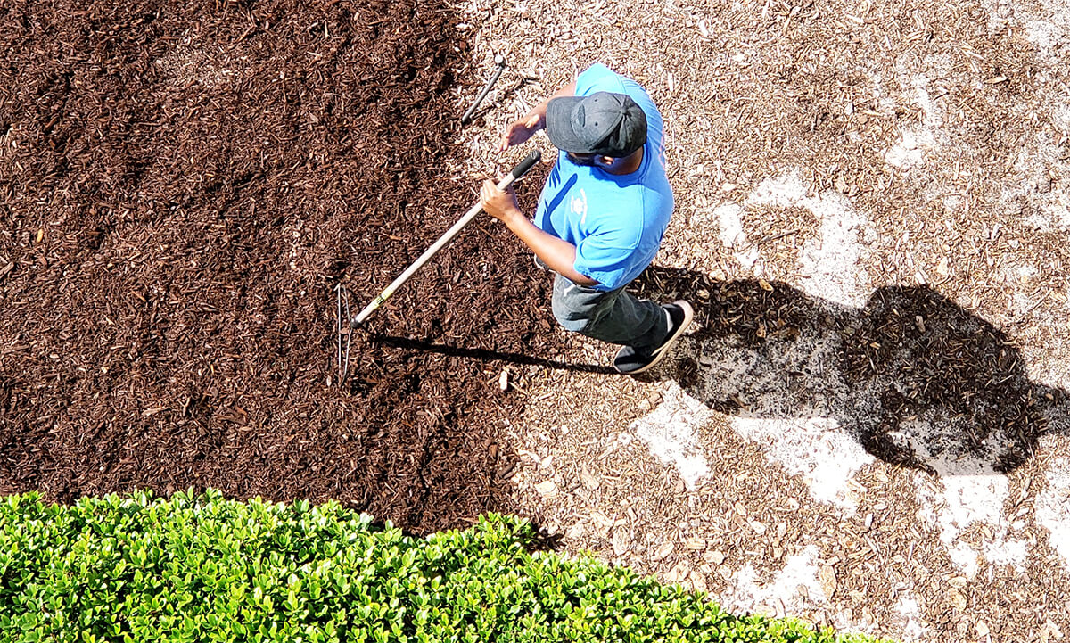 All Seasons Landcare Arlintong TX Mulching 1