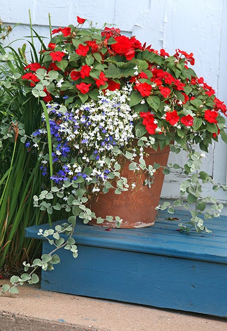 Garden Planter
