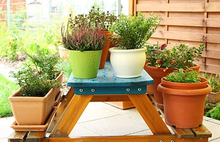 Outdoor Flower Pots