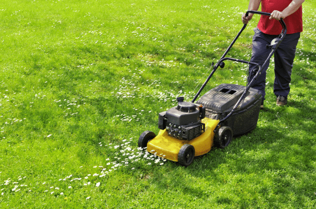 Mow the Lawn