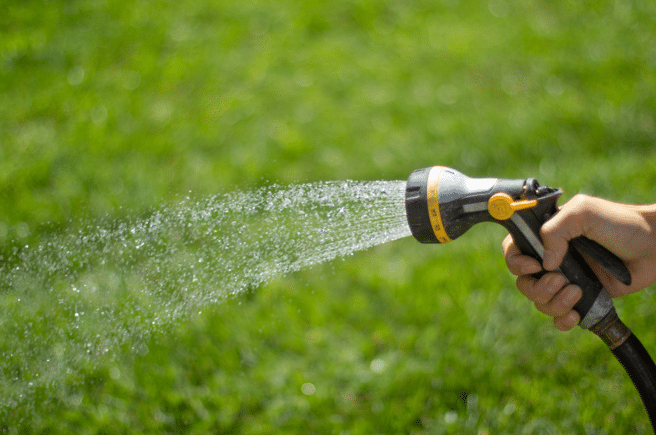 Watering the lawn