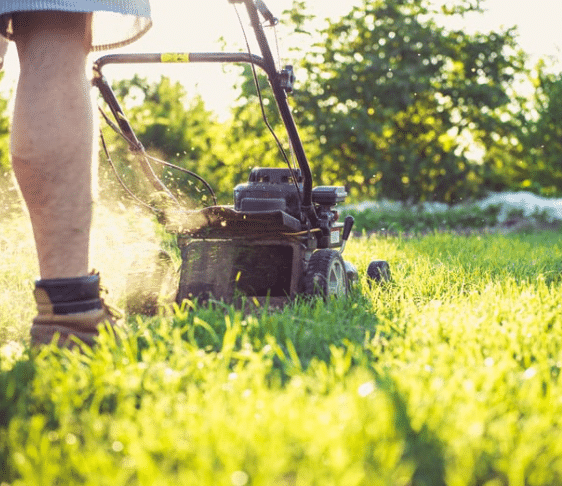 Improper Mowing