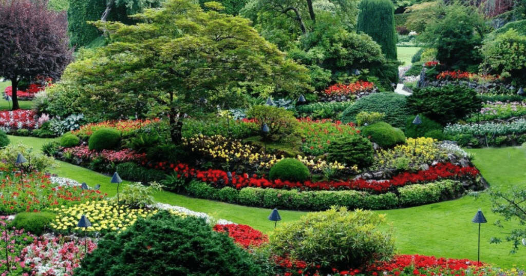 Beautiful garden filled with colorful flowers.