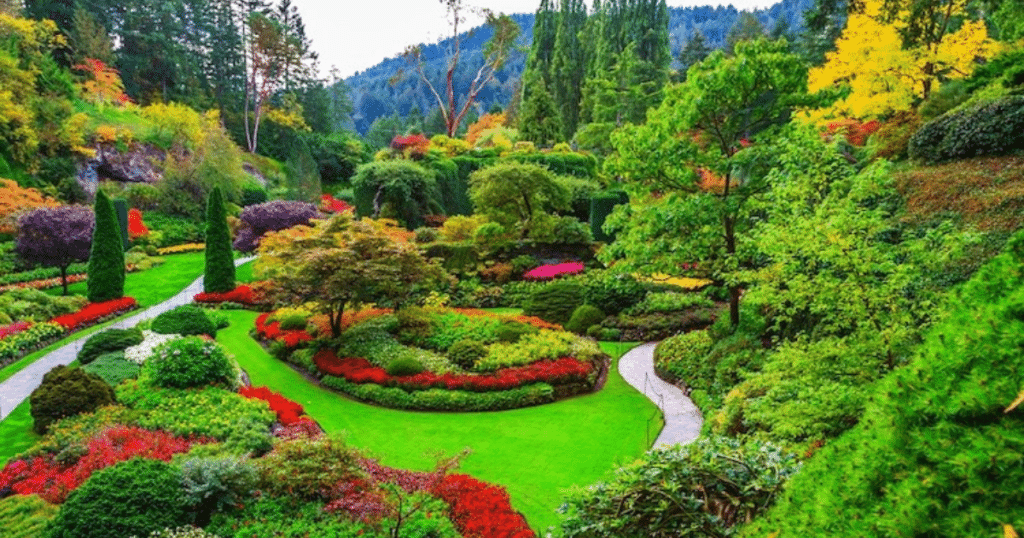 how to choose plants for landscaping