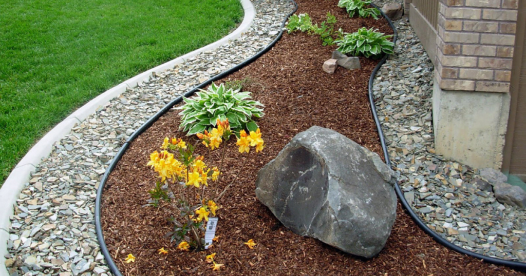 Neatly mulched bed with flowers and a rock