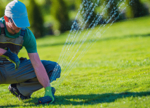 Best Lawn Sprinkler for 2025