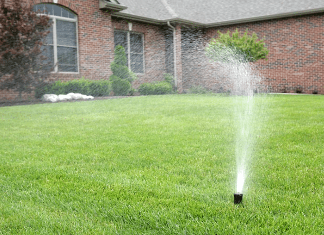 Lawn Sprinkler Ideas