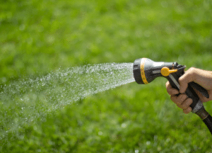 Watering Lawn
