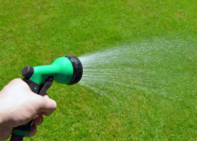 Watering Lawn