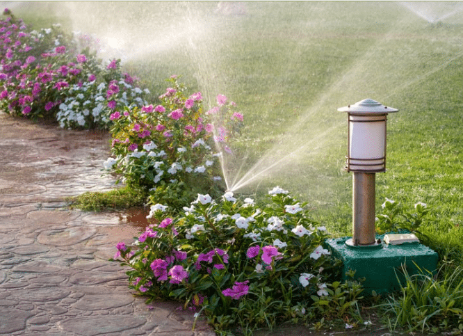 Watering the plants