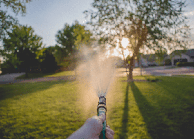 Lawn Sunlight Exposure