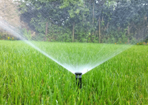 Watering Grass