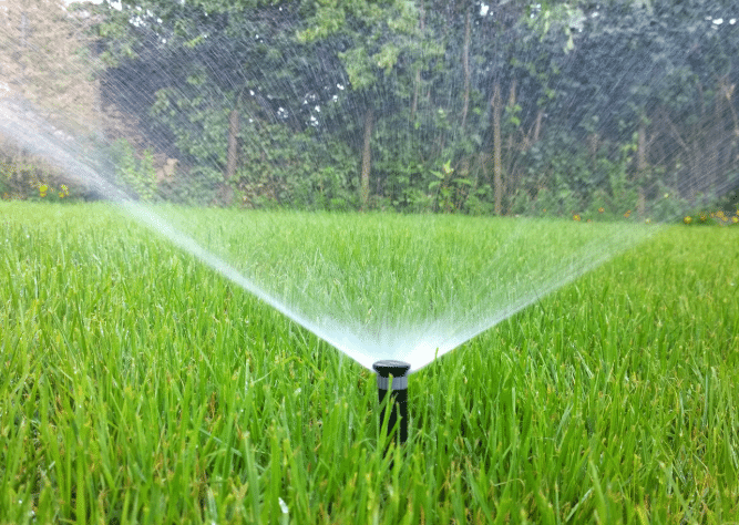 Watering Grass