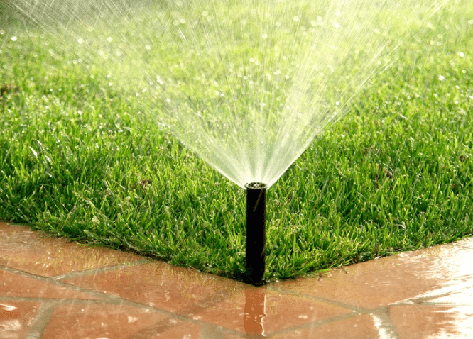 Lawn Sprinkler