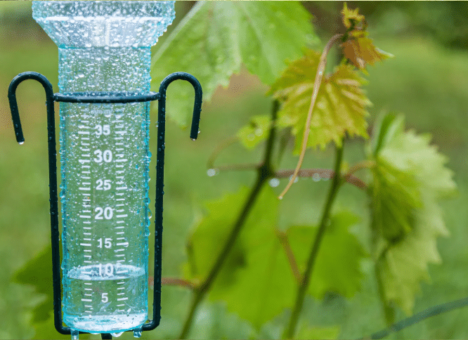 Rain Gauge