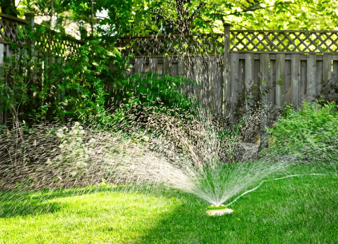 Watering Yard