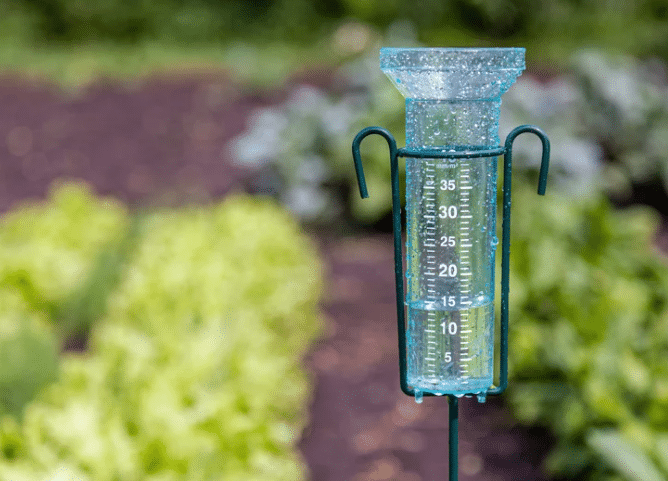 Rain Gauge