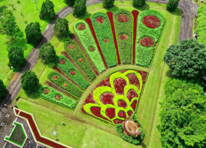 Creative Cut Grass Designs