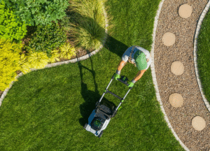 Yard Mowing