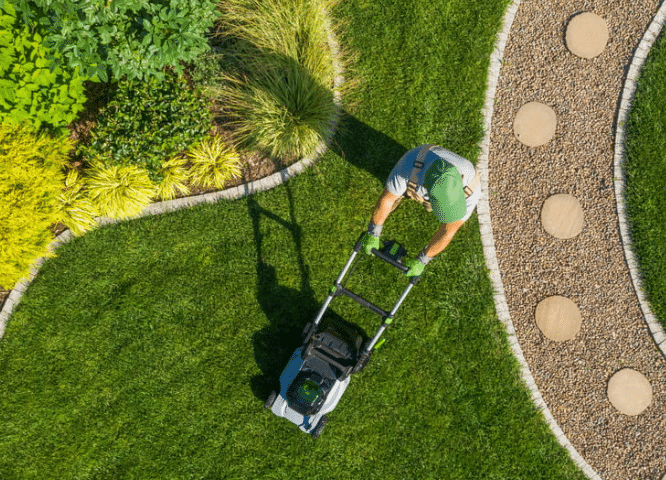 Yard Mowing