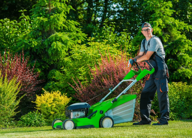 Mowing Expert
