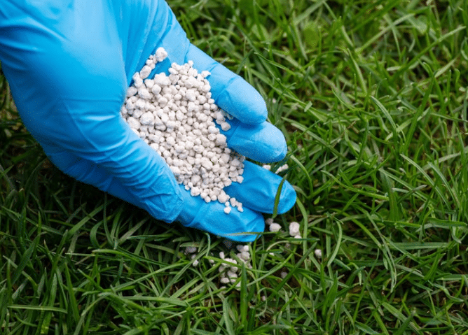 Grass Fertilizer