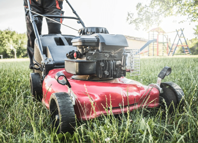 Cutting Grass