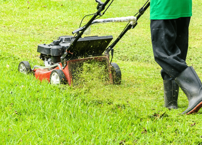 Grass Mowing