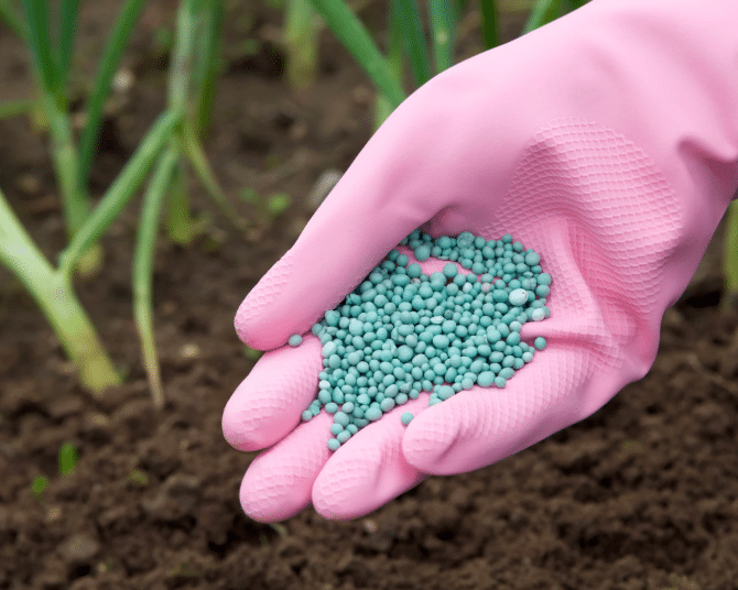 Lawn Fertilizer for Lush