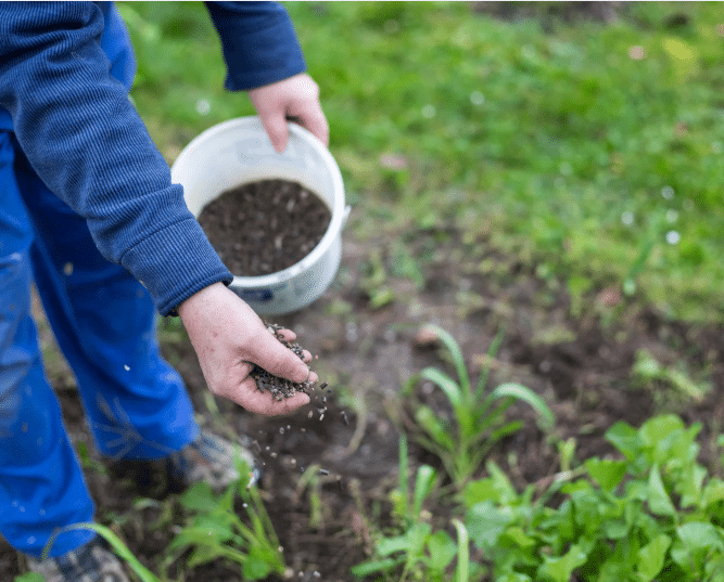 Lawn Fertilizer