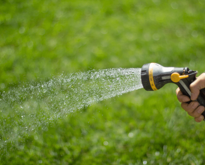 Watering Lawn After Fertilizing