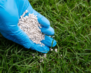 When to Fertilize Your Yard​ for a Lush, Healthy Lawn
