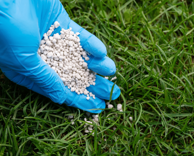 When to Fertilize Your Yard​ for a Lush, Healthy Lawn