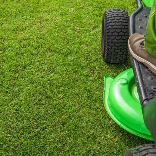 All Seasons Landcare Arlington Texas 2 All Seasons Landcare Arlington Texas 2