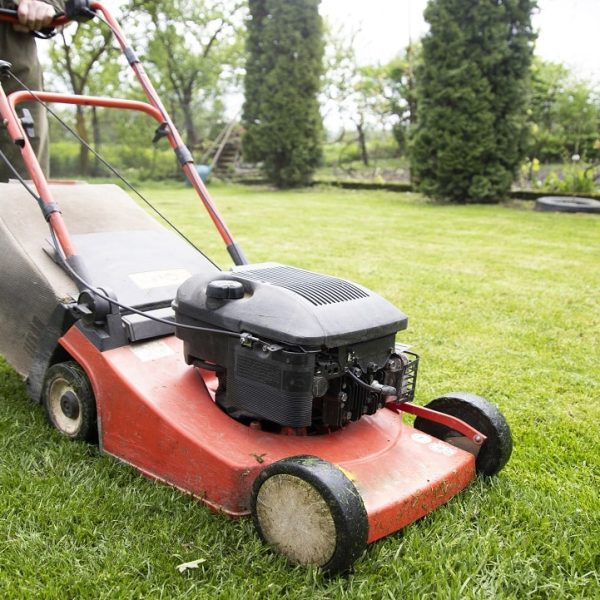 All Seasons Landcare Arlington Texas 27 All Seasons Landcare Arlington Texas 27