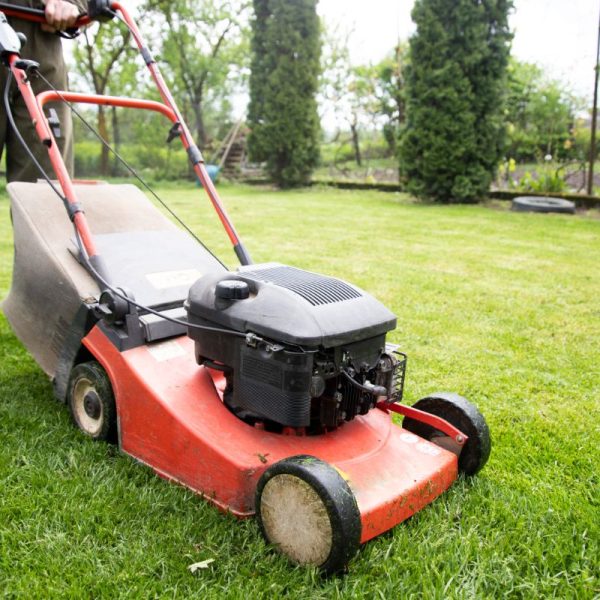 All Seasons Lawn Care Arlington