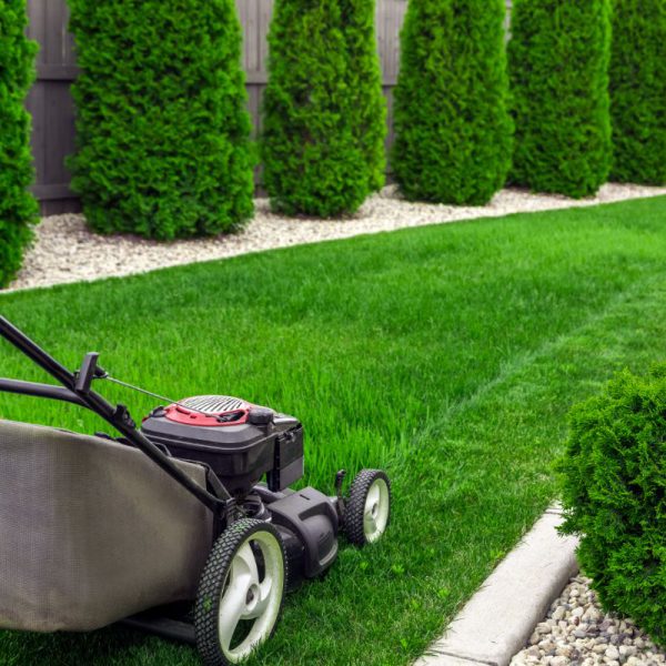 All Seasons Lawn Care Haltom City All Seasons Lawn Care Haltom City