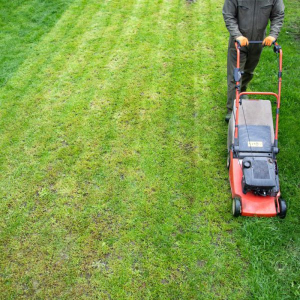 All Seasons Lawn Care North Richland Hills