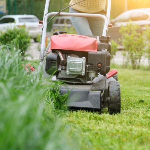 all season landcare service area dallas all season landcare service area dallas