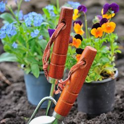 gardening tools and spring flowers in the garden